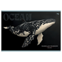 Альбом для рисования 