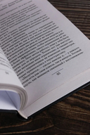 Системщик. Перевертыш — фото, картинка — 3