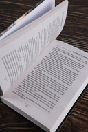 Системщик. Перевертыш — фото, картинка — 4