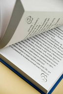 Добрачный контракт. Книга 1 — фото, картинка — 6