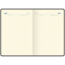 Ежедневник недатированный  Ежедневник недатированный