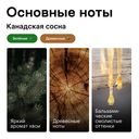 Парфюмерная вода унисекс 