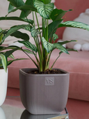 Горшок с дренажной системой 