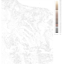 Картина по номерам с золотыми красками 