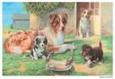 Наглядное пособие. Картины из жизни домашних животных. 3-7 лет — фото, картинка — 2