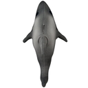 Игрушка для кошек 