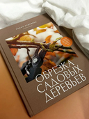 Обрезка садовых деревьев — фото, картинка — 1