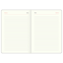 Ежедневник недатированный  Ежедневник недатированный