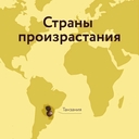 Кофе в дрип-пакетах 