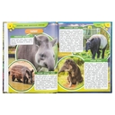 Аксолотль. Самые удивительные животные — фото, картинка — 3