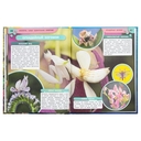 Аксолотль. Самые удивительные животные — фото, картинка — 5