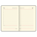 Ежедневник недатированный 