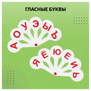 Набор вееров школьных 