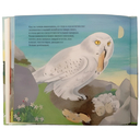 Лемминги – сердце гор — фото, картинка — 5