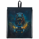 Мешок для обуви 