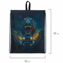 Мешок для обуви 